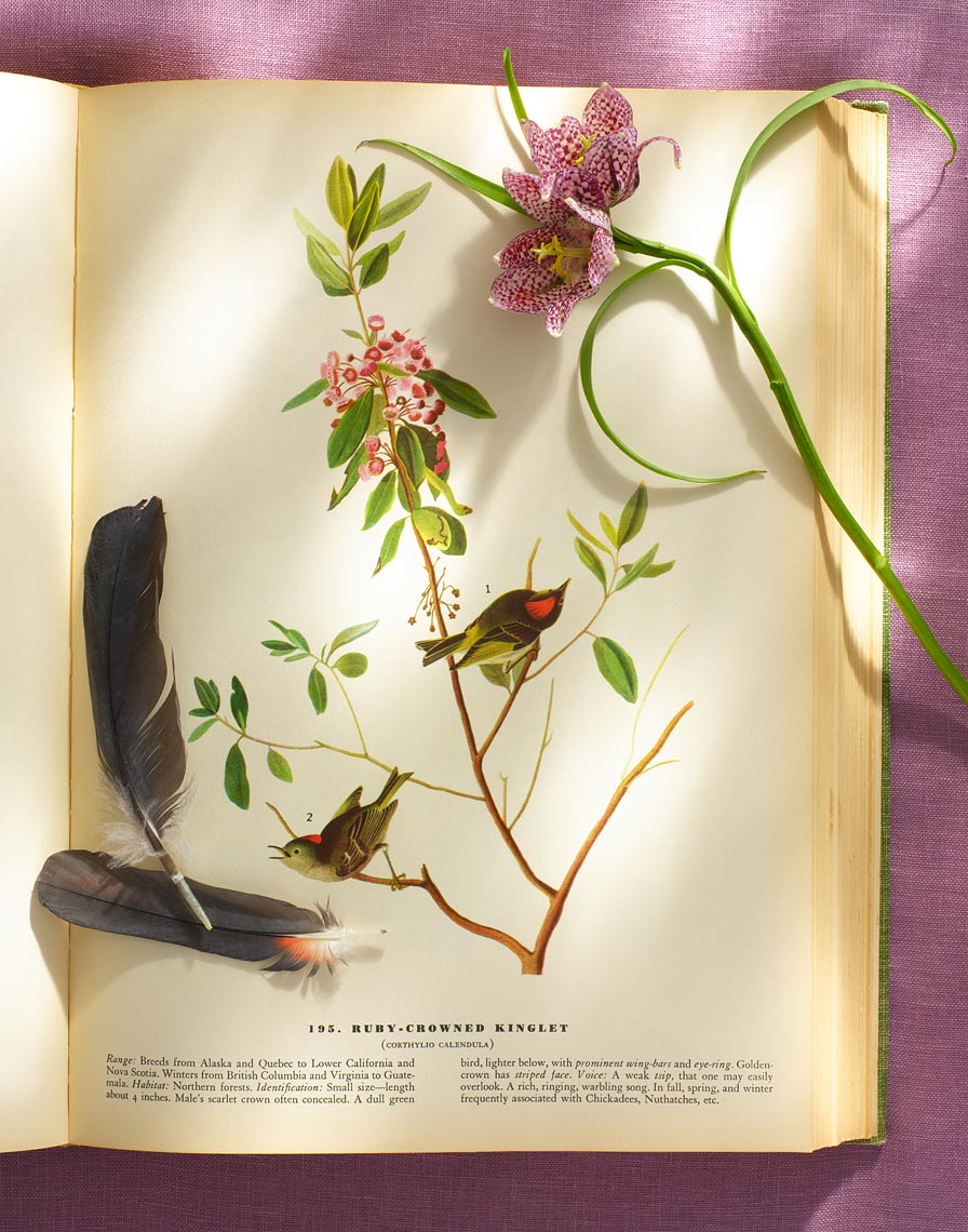 FlowerBook_Purple