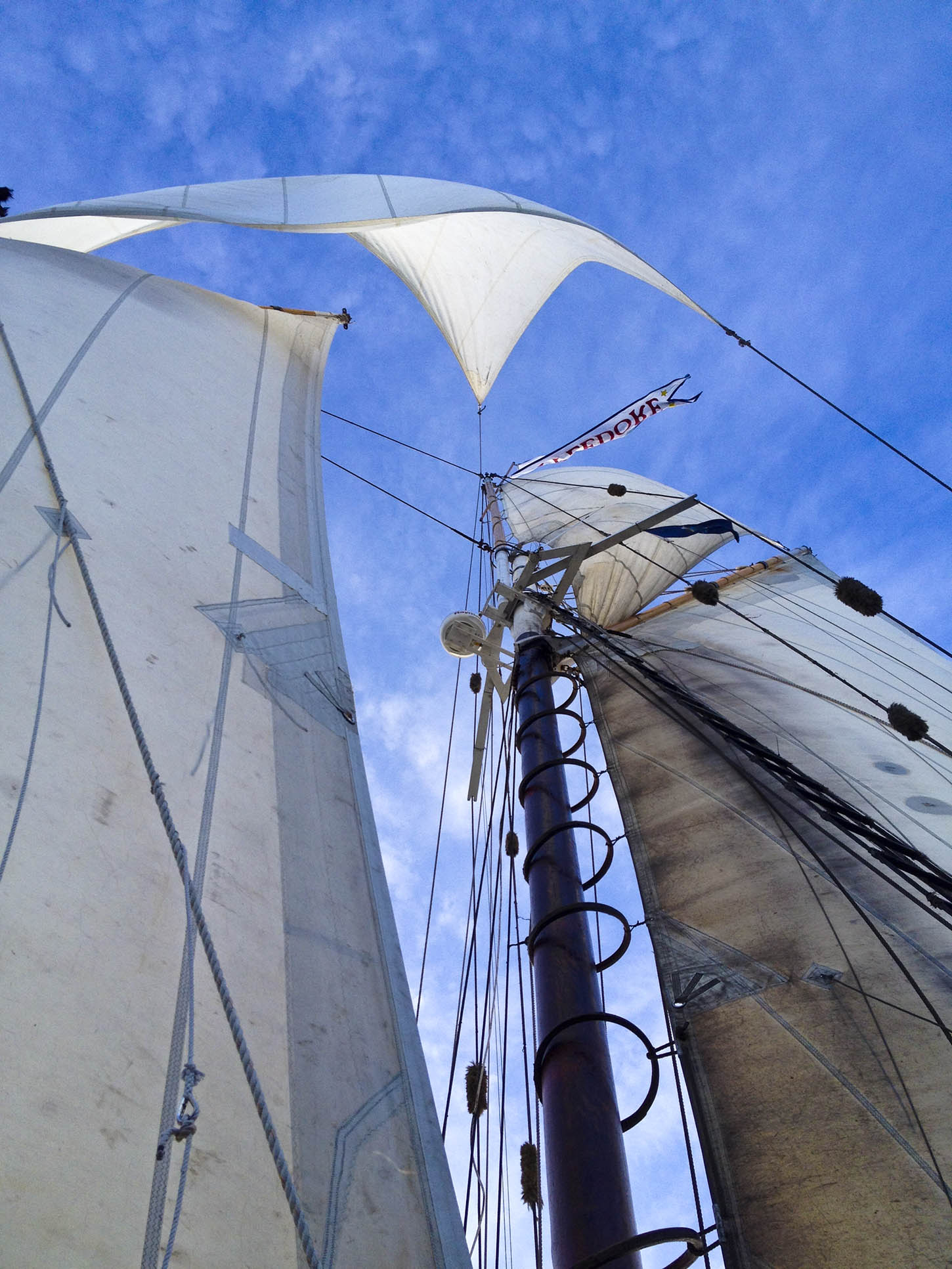 Mainesails